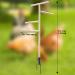 Buy Generic Boden Chicken Rod - Outdoor Poultry Stand & Enrichment Toy for Chickens Parrots & Nymphensitties | Perfect for Playgrounds - Buy Online on GoSupps.com