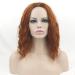 Buy Fouriding Short Curly Wave Bob Wig for Women Brown Halloween Cosplay & Anime Costume - Buy Online on GoSupps.com