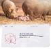 Disposable Pig Pregnancy Test Paper Sowing Pregnancy Test Test Strip Pig Pregnancy Diagnostic Tester