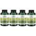 Swanson Stinging Nettle Root 500 mg 100 Capsules