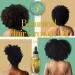 Botanicals Hair Growth Oil - Nourishing & Invigorating Formula for Healthy Hair Growth | Shop Internationally - Buy Online on GoSupps.com