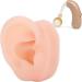 Silicone Human Ear Model for Hearing Aid Demonstration - Shop Window Display - Buy Online on GoSupps.com