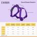 CHABA Adjustable Dog Harness for Large Dogs - Anti-Choking & Control - Lightweight Step-In Design - Perfect for Running - XL Violet - Buy Online on GoSupps.com
