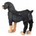 Dog Rear Hind Leg Joint Brace Pet Dog Double Hind Leg Brace Support Belt for Heals Prevents Injuries Sprains Protects Wounds. B Medium