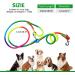 Pawstrip Hands-Free Dog Leash | Dual Waist & Crossbody Rope for 2 Dogs | Reflective & Durable Nylon | Heavy Duty Leash for Hiking & Running | Medium to Large Dogs (Multicolor) - Buy Online on GoSupps.com