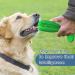 RUCACIO Dog Chew Toy - Durable Outdoor Interactive Toothbrush Toy for Medium Dogs | Dental Care & Teeth Cleaning | Puppy Birthday Gifts - A-Green - Buy Online on GoSupps.com