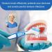 Jtkrew 3-Piece Portable Prosthesis Cleaning Brushes Set - Double-Sided Multi-Layered Bristles for False Teeth - 3 Colors Available | International Shipping - Buy Online on GoSupps.com