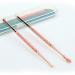 Buy Minkissy Stainless Steel Ear Cleaning Set - Professional Ear Head Spiral Cleaner for Ear Health with Storage Box | International Shipping - Buy Online on GoSupps.com