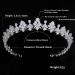 Jorsnovs Small Cubic Zirconia Crown for Women - Bridal Wedding Tiaras | CZ Queen Quinceanera & Birthday Party Hair Accessories - Silver - Buy Online on GoSupps.com