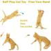 MeoHui Fur Mice Cat Toys 12PCS - Rattling Catnip Cat Toys for Interactive Play | Realistic Size with Rattle Sound | Catnip Filled Mouse Toy for Indoor Cats and Kittens - Buy Online on GoSupps.com