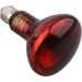 Buy AiicioOo Infrared Heat Lamp 150W 2-Pack - Ideal Reptile Heating Solution for Lizards Tortoises Snakes & Spiders - International Shipping Available - Buy Online on GoSupps.com