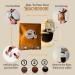 100% Arabica Medium Roast Ground Coffee 7 Single Serve Portable Pour Over Drip Coffee Pouches Hachidoori - Buy Online on GoSupps.com