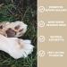Pets Purest Paw Moisturising Spray - Natural Antiseptic Antibacterial Remedy for Dogs, Cats & Pets - Soothes Dry Paws, Cracked Skin & Wound Repair - 65ml - Buy Online on GoSupps.com