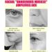 Eowppue Foxy Eyes Lift Facelift Bands with Clips Instant Face Lift Tape Reusable Facelift Tape for Face Invisible (Double Strap & Black & Skin Tone & Brown) - Buy Online on GoSupps.com