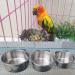 Wegreeco Stainless Steel Bird Feed Cups - 2 Pack Parrot Water & Food Bowl with Clamp Holder for Birds - Buy Online on GoSupps.com