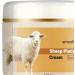  Byuexhp Firming Moisturizing Face Cream | Brightening Balm 50g | Face Brightening Cream - for Women Girlfriends and Mothers Dry Oily Combination Sensitive Mature Skin Morning - Buy Online on GoSupps.com