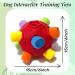 Ciivurr Snuffle Ball for Dogs - Interactive Foraging Toy for Treat Dispensing and Slow Feeding - Unbreakable Upgrade - Red Rainbow - Small, Medium, and Large Pets - Buy Online on GoSupps.com