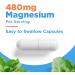 SELFevolve Magnesium Glycinate 480mg - High Absorption Magnesium Supplement Support Stress Relief Sleep Heart Health Nerves Muscles and Metabolism 120 Veggie Capsules 1 Month Supply - Buy Online on GoSupps.com
