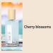 Perfume for Women New Natural Woody Fresh Perfume-Treasure Cherry Blossom Subtle Hypoallergenic Eau De Parfum Floral Body Mist Suitable for All Skin Types Perfume Gift for Women 50ml One Size B - Buy Online on GoSupps.com