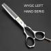 Hairdressing Scissors Left Handed Series Professional Salon Stylist Shears Barber Scissors Cutting Scissors for Left-Handed Hairdresser (Color : Tooth Shear) - Buy Online on GoSupps.com