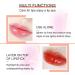 Buy Plumping Lip Gloss & Hydrating Lip Glow Oil | Moisturizing Tinted Lip Oil with Aloe Vera - Long-Lasting Non-Sticky Shine - Buy Online on GoSupps.com