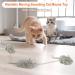 SCOOLR Remote Control Rat Toys Wireless Infrared RC Control Realistic Mouse Toy For Cat Kitten Dog Pet Novelty Gift For Kids Children Halloween Christmas Party Birthday Gifts (Gray) - Buy Online on GoSupps.com
