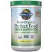 Garden of Life RAW Organic Perfect Food Green Superfood Original 14.60 oz (419 g)