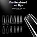 Canvalite 504 Piece Artificial Nail Set - 12 Sizes of Gel & Acrylic Tips with Nail Accessories & File for DIY Geln gel - Buy Online on GoSupps.com