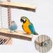 Qeeheng Wood Bird Platform Set - 2 Natural Parrot Rods & Flat Playing Stand for Small to Medium Aras - Exercise Toy & Cage Accessories - Buy Online on GoSupps.com