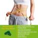 Natural Weight Management Supplement with Green Tea, L-Carnitine, Garcinia Cambogia & Apple Cider Vinegar - 120 Capsules - Buy Online on GoSupps.com