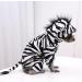 XIAOYU Pet Clothes - Puppy & Cat Hoodie Warm Sweater for Halloween & Cosplay | Small Horse Apparel - Buy Online on GoSupps.com