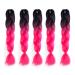 5Pcs Ombre Jumbo Braiding Hair Extensions - 100g/pc Kanekalon Synthetic Fiber for Twist Brading Hair 24Inch (60cm) 3