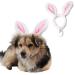 ANIAC Pet Headgear Soft Headband with Cute Bunny Ears Warm Hat Head Accessories Easter Costume for Cats Kitten Puppy and Small Dogs (Small/Head Girth:9.5 Inch - 11 Inch)
