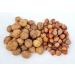 Buy Igart Hazelnuts 10kg & Walnuts 15kg in Shell | Eco-Quality Mix | Untreated Harvest 2023 | Tasty Nuts for International Shipping - Buy Online on GoSupps.com