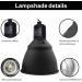 Buy Aiicioo 5.5 Inch E27 Terrarium Lamp for Iguanas | Reflector Clamp Lamp for Lizards & Turtles - Buy Online on GoSupps.com