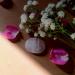 crystalmiracle Rose Quartz Palm Stone Pocket Gemstone Gift Crystal Healing Feng Shui Wellness Love Peace Positive Energy Handcrafted - Buy Online on GoSupps.com