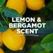 Tom's of Maine Lemon & Bergamot Aluminum-Free Natural Deodorant 2.25oz, Pack of 1 - Buy Online on GoSupps.com