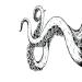 Dopetattoo 6 Sheets Temporary Tattoo Octopus Tentacles Fake tattoos Hand Tattoo design for Man Woman Adults teens