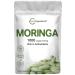 Micro Ingredients Moringa Oleifera 1000mg 240 Caplets | Whole Leaf Extract Green Superfood Supplement Powder from Raw Moringa Leaves | Non-GMO No Gluten 240 Count (Pack of 1)
