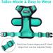Breakproof Cat Leash Set & Adjustable Soft Kitten Vest with Reflective Stripes - Green Small Cat Dishes for Kittens - Buy Online on GoSupps.com