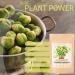 Nourisharvest Raw Brussels Sprouts Powder - Pure concentrated plant powder- Harvested + Dried on the farm- No added Sugar or Salt. No Preservatives Gluten Free 120grams Made in Australia - Buy Online on GoSupps.com