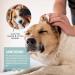 Reavet Ear Cleaner for Dogs & Cats - 100 Gentle Aloe Vera Pads for Ear Care | Mild Cleaning Towels - Buy Online on GoSupps.com