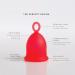 Asan Menstrual Cup - Easiest Cup to Insert & Remove I Special Ring Design | Premium Medical Grade Silicone I Designed in The USA (Heavy Flow) - Buy Online on GoSupps.com