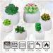 Actvty 6Pcs Succulent Silicone Molds - Cactus Flower Plants Molds for Cake Decorating  Fondant  Chocolate  Handmade Candle  Wax Melt  Soap  Epoxy Resin 6 Pcs - Buy Online on GoSupps.com