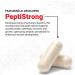 Buy FORCE FACTOR Anabolic Muscle Builder - Top Muscle Support Supplement for Men | Boost Strength Recovery & Reduce Fatigue - 150 Capsules - Buy Online on GoSupps.com
