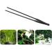 EvaGO 15 inch Black Straight Aquarium Tweezers Stainless Steel Straight Tweezer with Carbonation Protection Coating Against Rust Extra Long Reptiles Feeding Tongs Tools for Aquatic Tank Plants - Buy Online on GoSupps.com