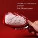 Paddle Hair Brush Detangler for Natural Curly Straight Wet/Dry Hair - Rose Red - Buy Online on GoSupps.com