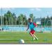12 Pc Team Pinnies Set - Nylon Mesh Vests for Youth - Basketball, Football, Soccer Practice Jerseys - Red & Light Blue - Buy Online on GoSupps.com