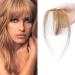 SEGO Pony Hairpiece Fringe Clip On In Front Hair Real Hair One Piece Extension 100% Remy Human Hair Light Brown #6 3 g
