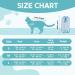 Avont Katzenbody Recovery Suit for Cats | Post-Op Healing Leak Protection Abdominal Wounds Skin Issues - Blue S - Buy Online on GoSupps.com